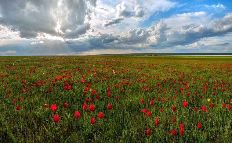 Ростовский заповедник Ремонтненский район