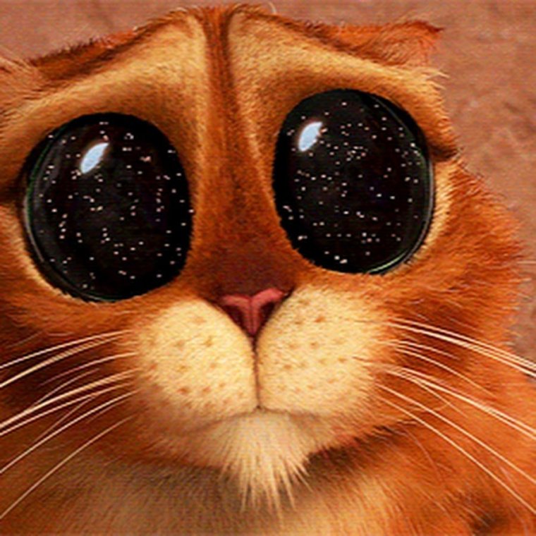 Глазки кота из Шрека