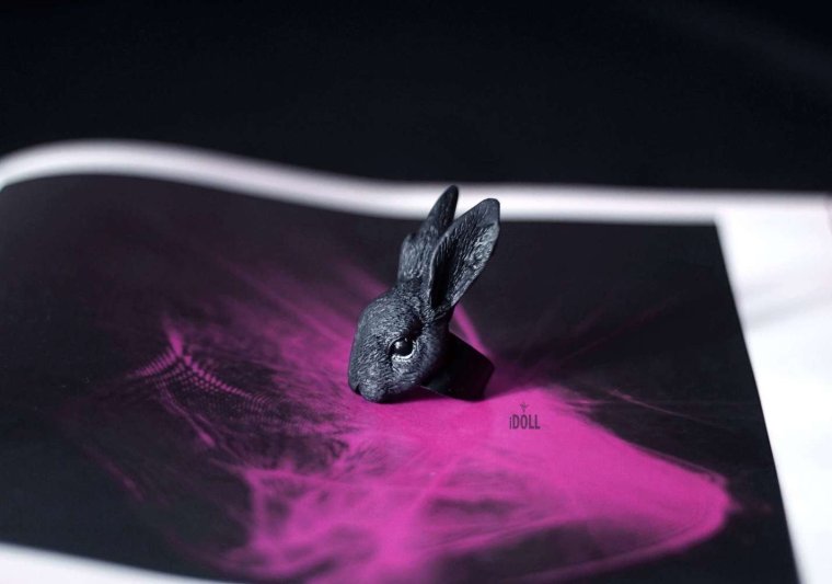 Черный кролик