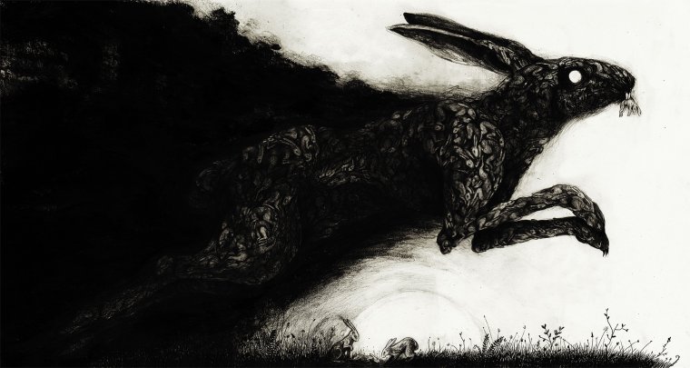 Черный заяц