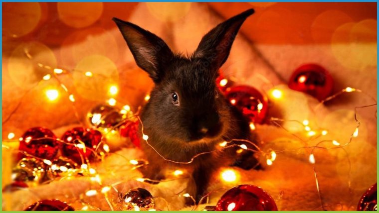 Новый год 2023 кролик