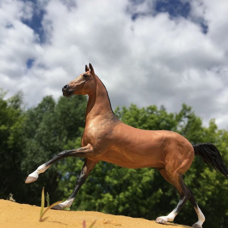 Ахалтекинец буланой масти