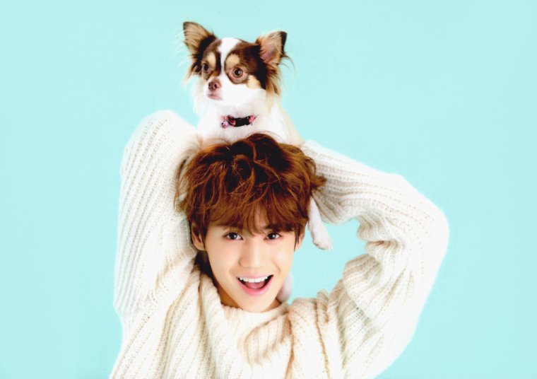 Айдолы с животными