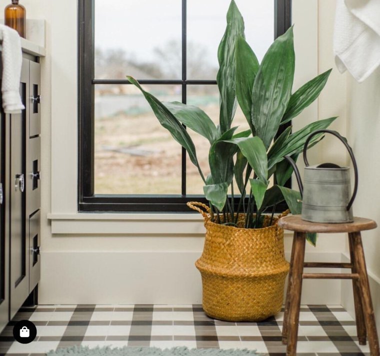 Модные домашние растения 2022