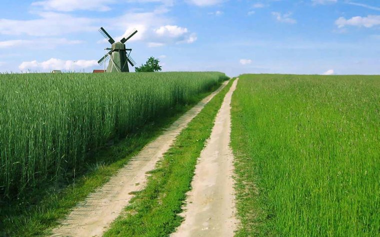 Внехозяйственные дороги