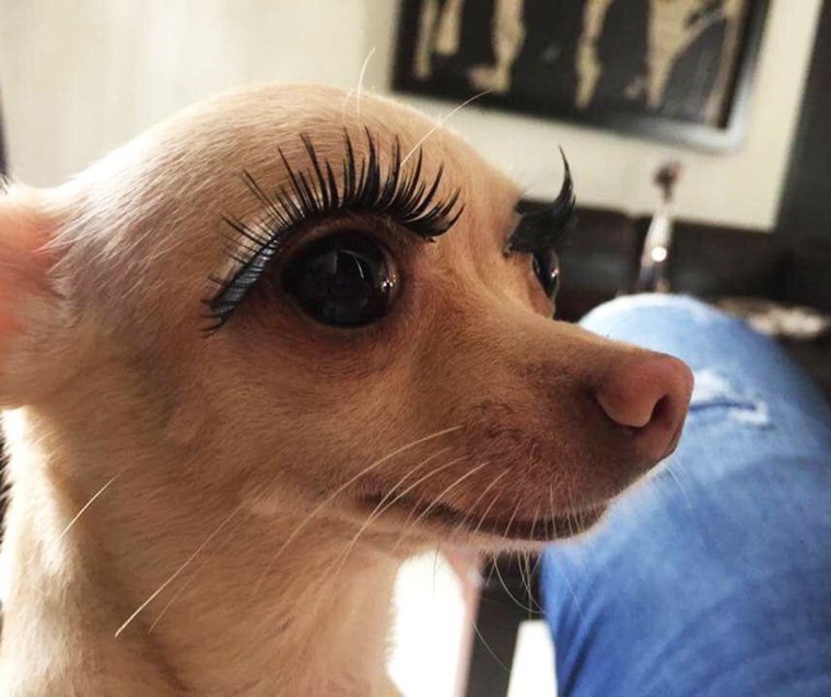 Большие ресницы