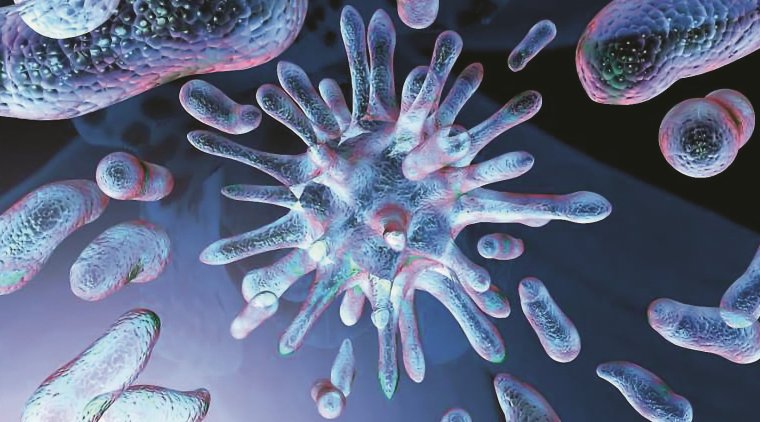 Одноклеточные бактерии