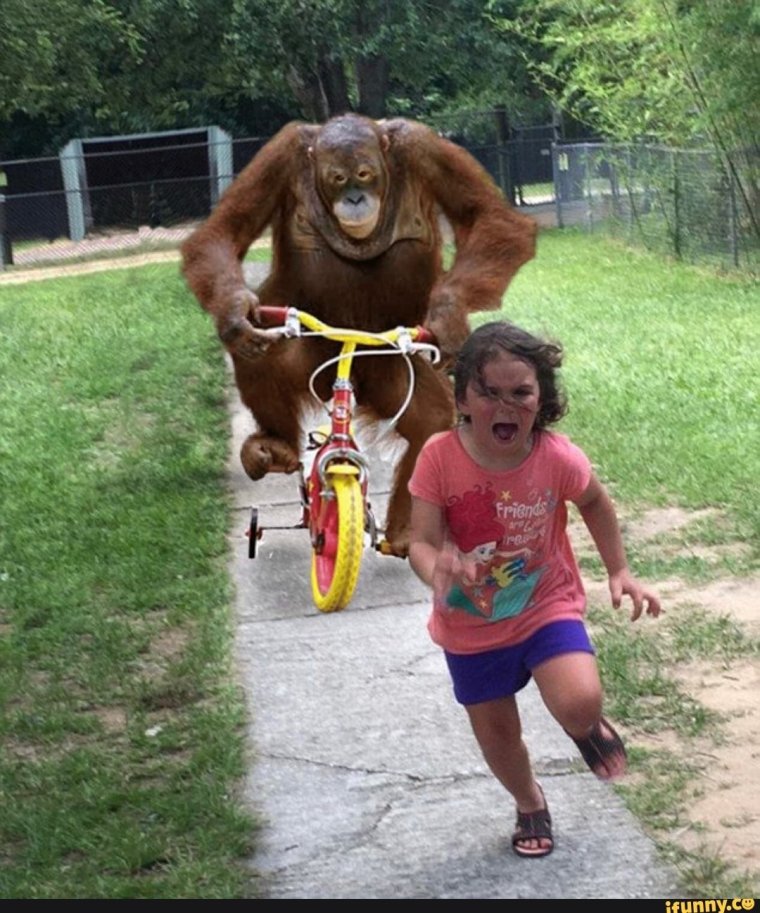 Обезьяна на велосипеде едет за девочкой