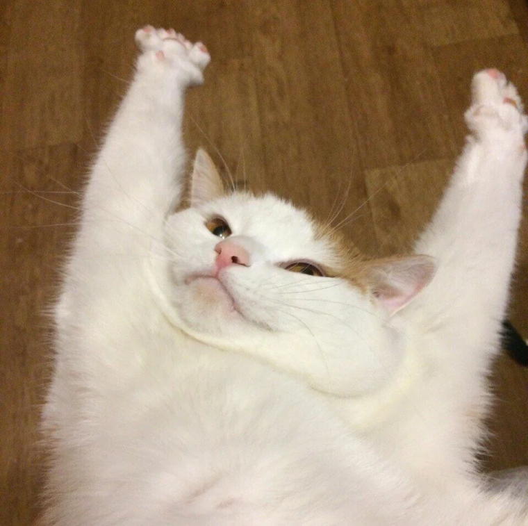 Ты молодец котики с сердечками