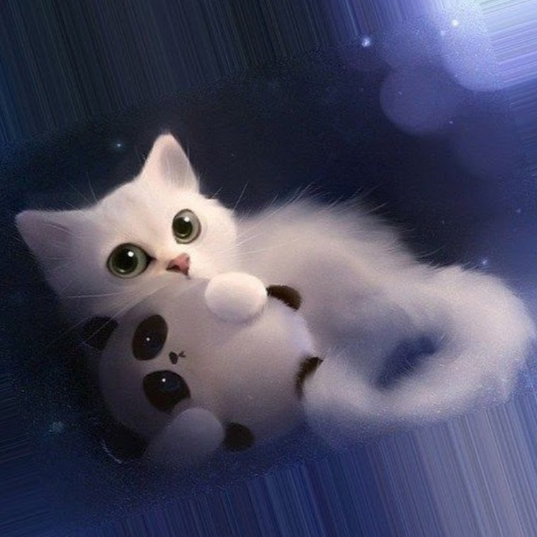 Милые аватарки с котиками