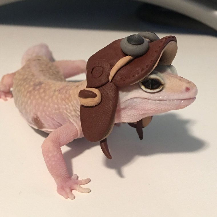 Геккон бананоед арт