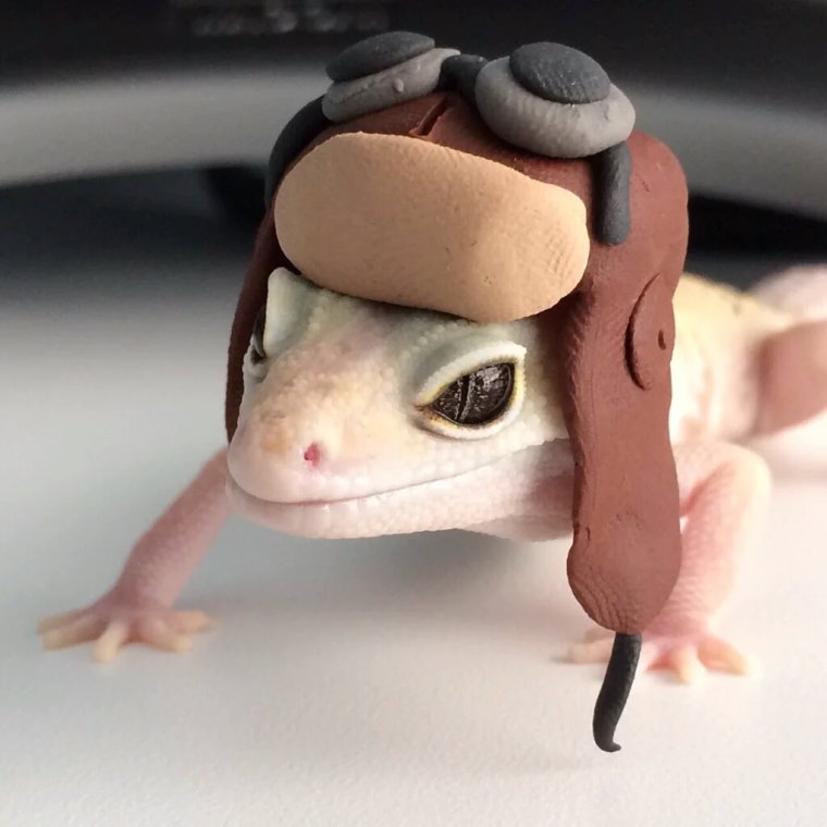 Геккон эублефар милые