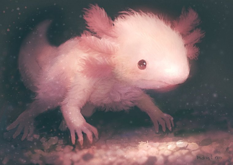 Аксолотль покемон