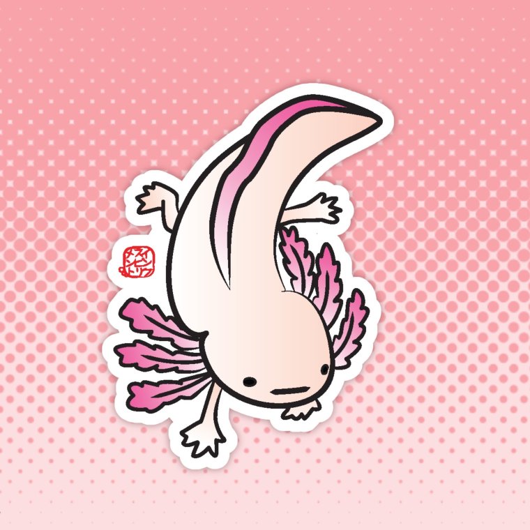 Аксолотль референс