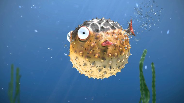 Рыба еж малек