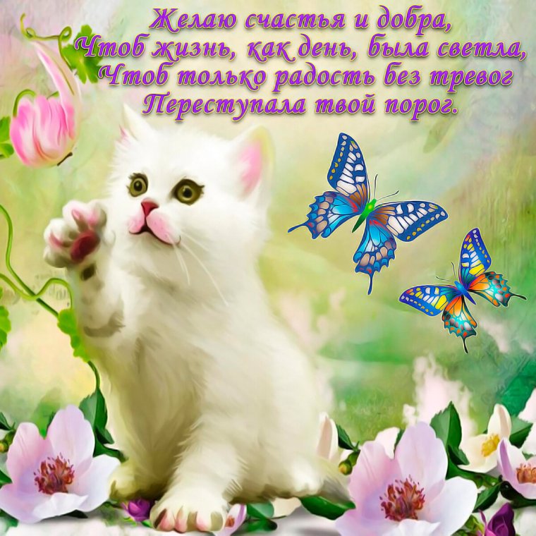 Открытки с пожеланиями