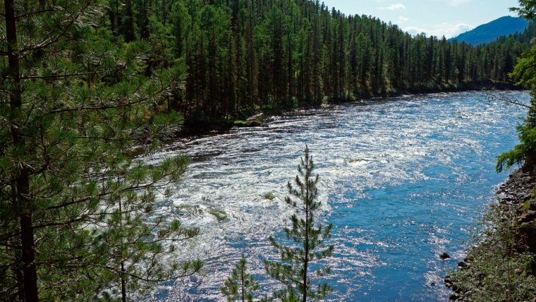 Хамсара река в Туве