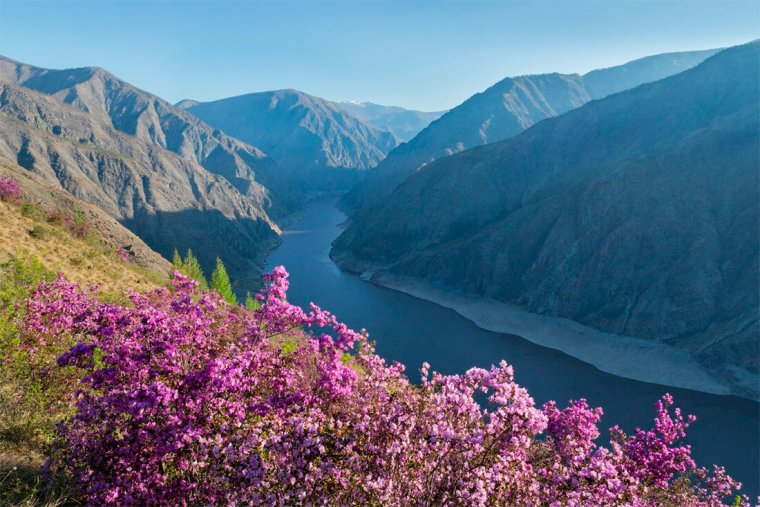 Заповедник Саяно-Шушенский заповедник