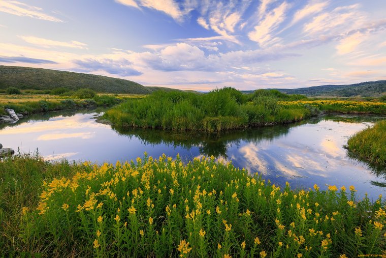 Тайга и река Обь