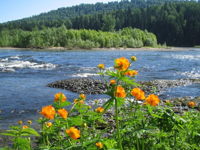 Кузнецкий Алатау заповедник Междуреченск Кемеровская область