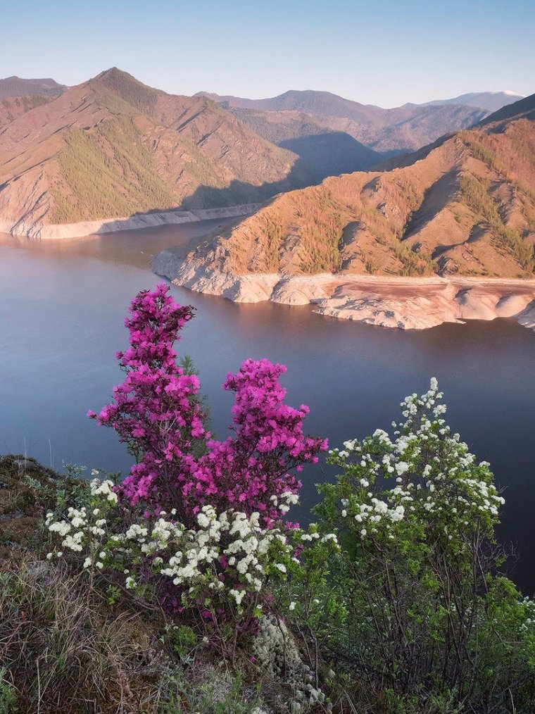 Саяно-Шушенский заповедник
