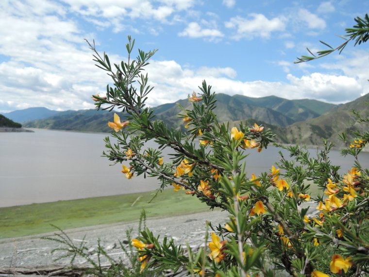 Саяно-Шушенский заповедник