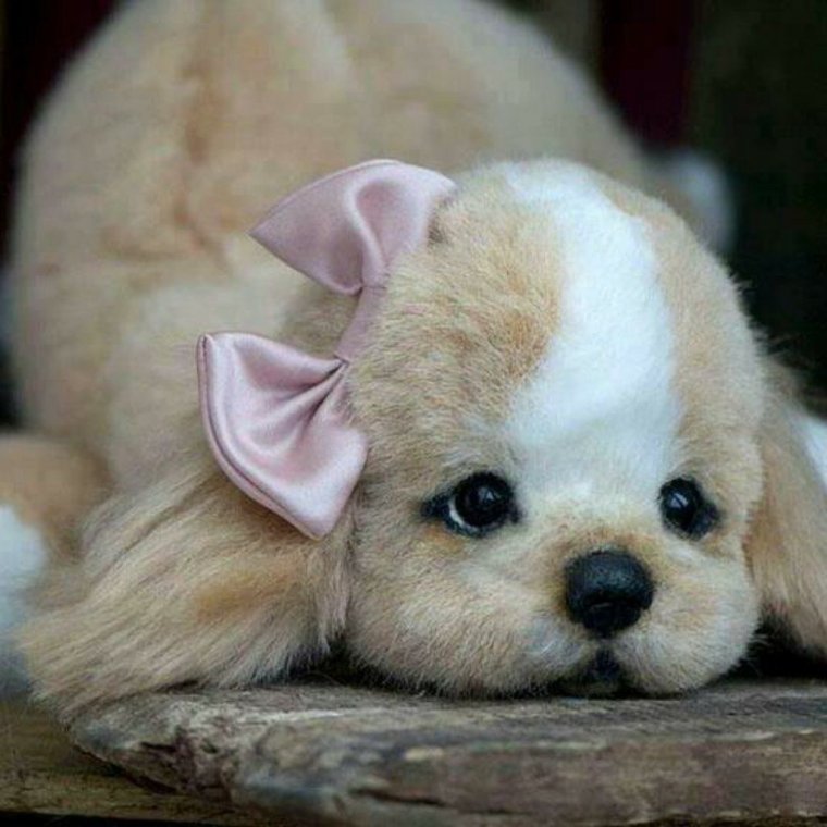 Милые премилые собачки