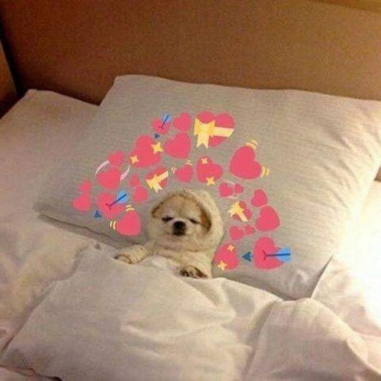 Спокойной ночи песик сердечки