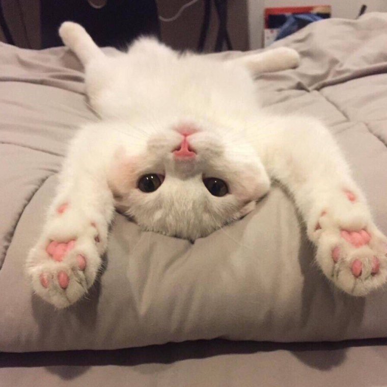 Ура выходные