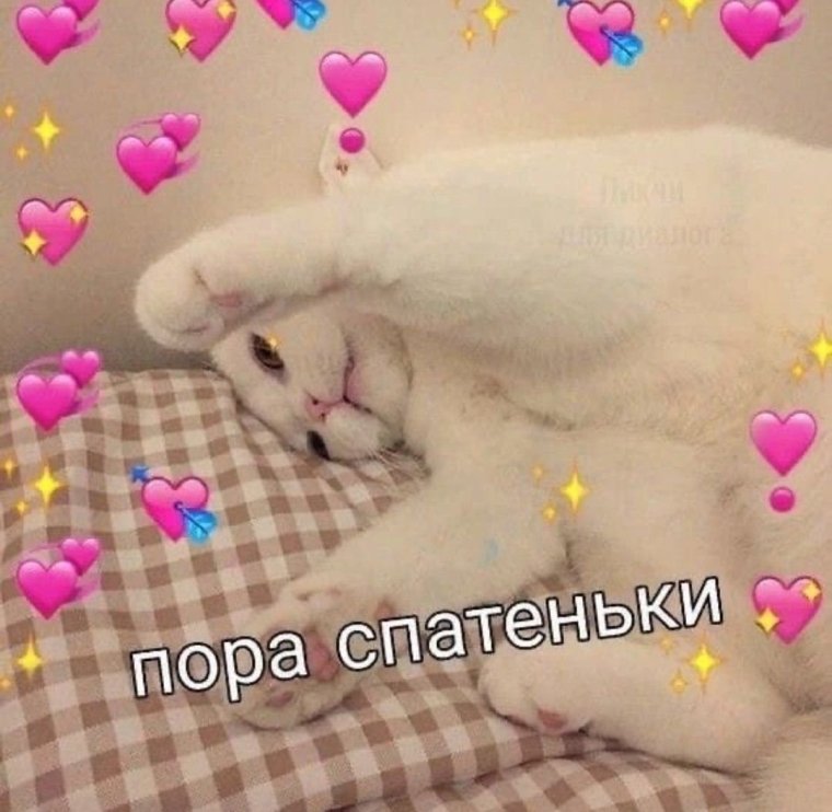 Спокойной ночи котики с сердечками