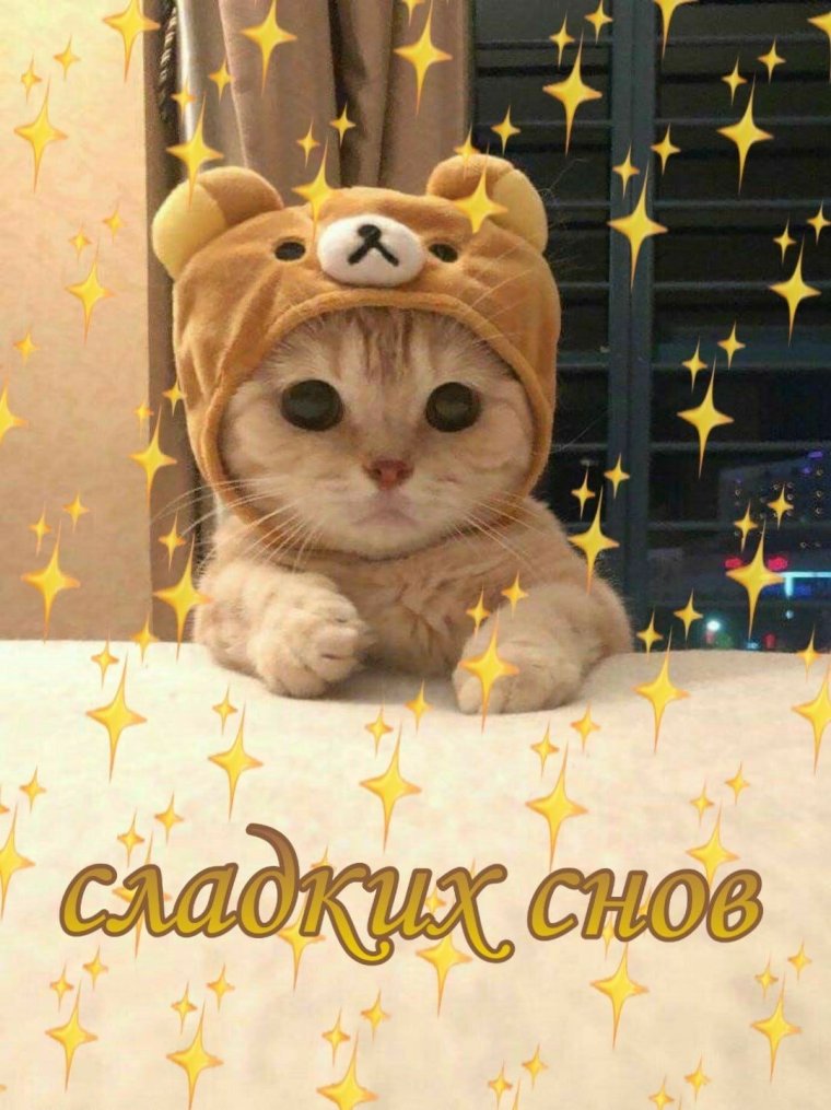 Милые пикчи спокойной ночи