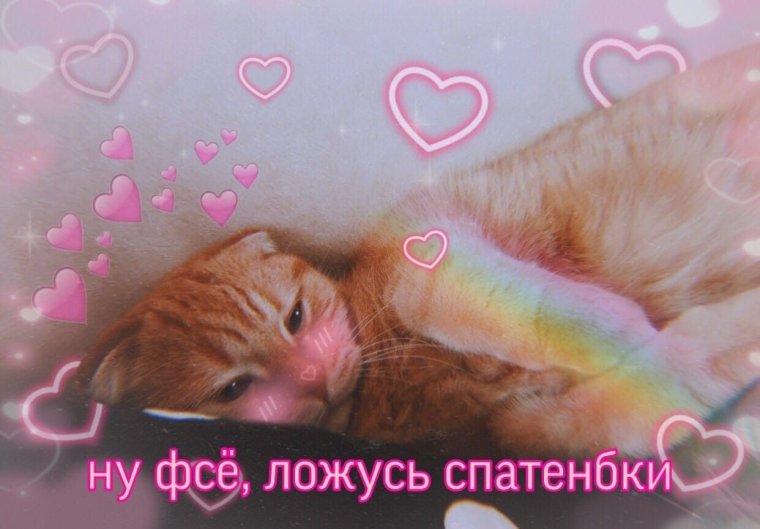 Няшные пикчи спокойной ночи