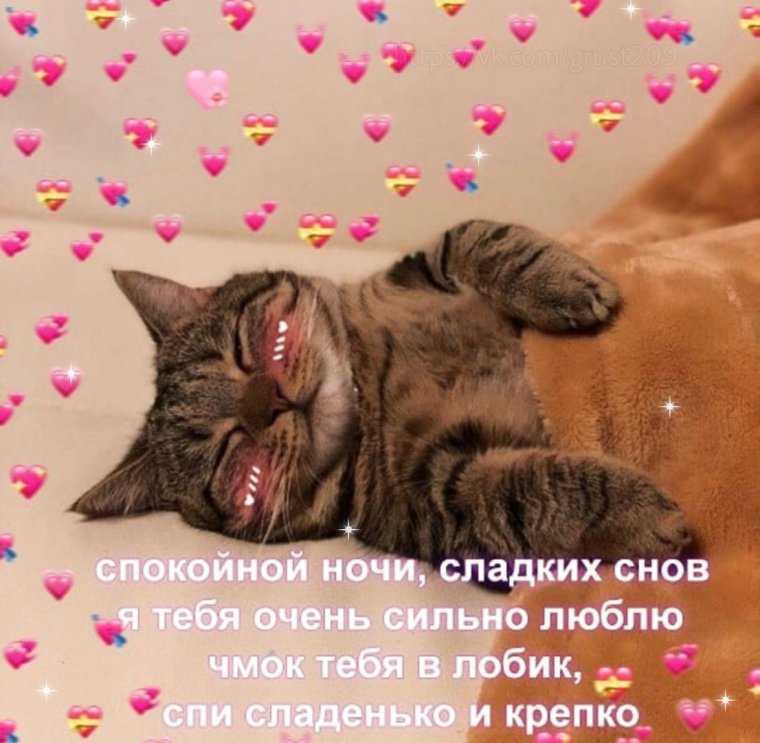 Сладких снов милая пикча