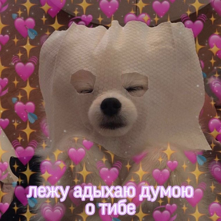 Милые пикчи