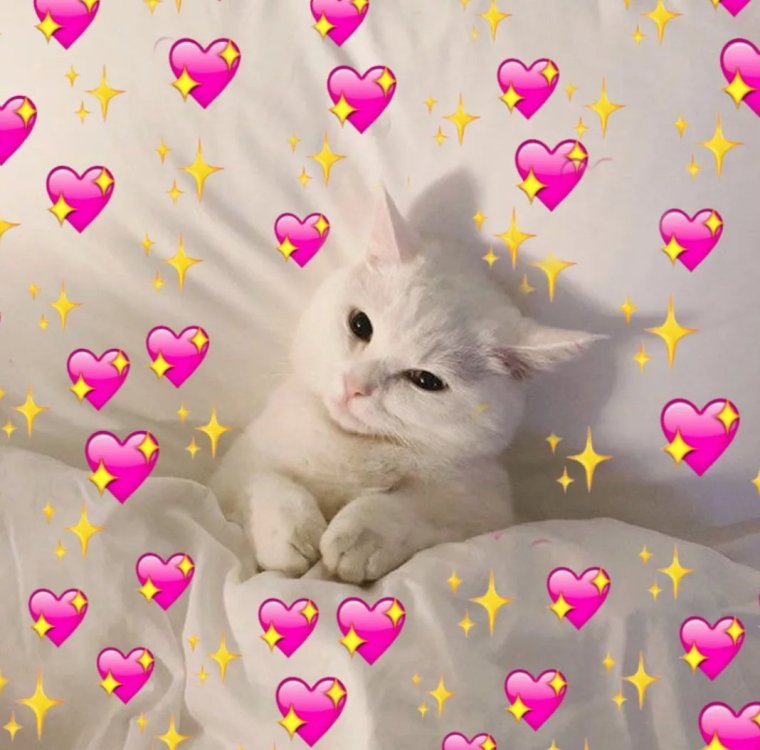 Котенок с сердечком