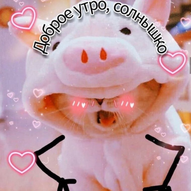 Милые пикчи с добрым утром