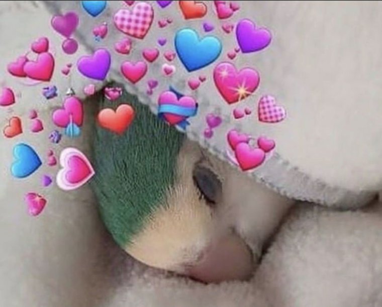 Милые пикчи про любовь