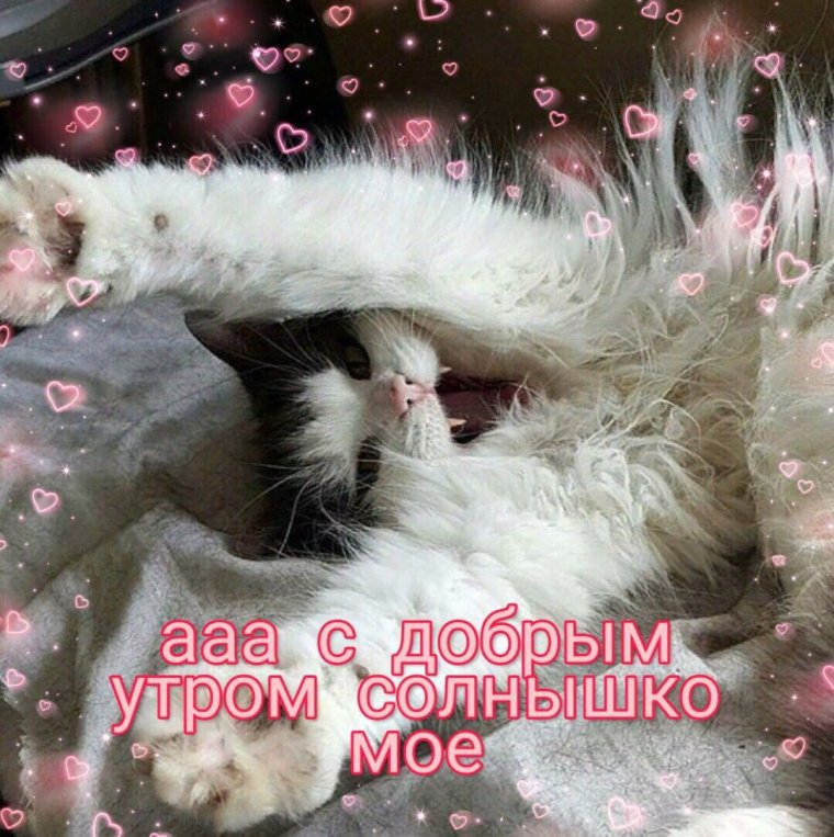 Милые пикчи с надписями доброе утро