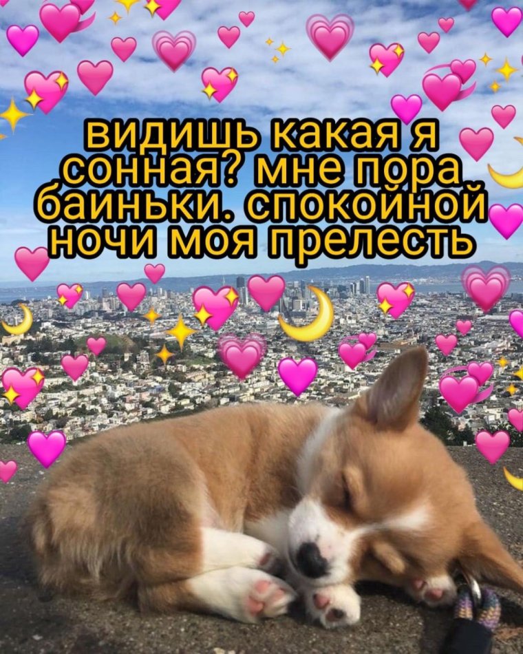 Милые картинки со словами