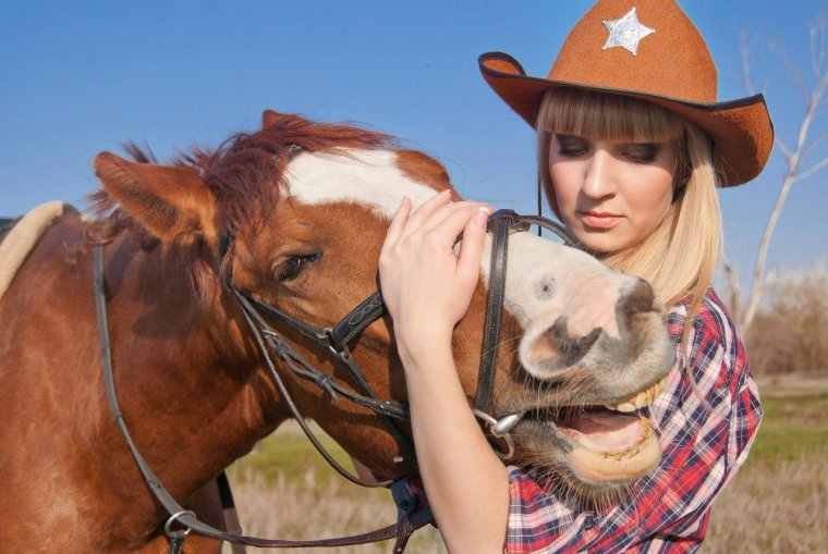 Член лошади с девчонками