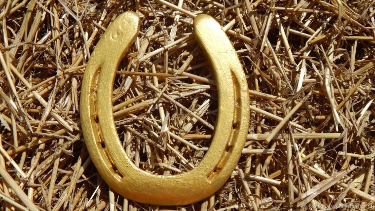 Золотая подкова