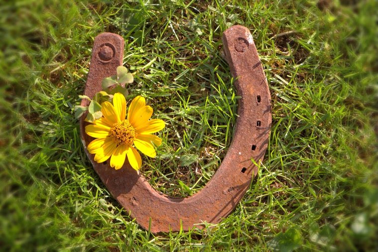 Подкова символ удачи