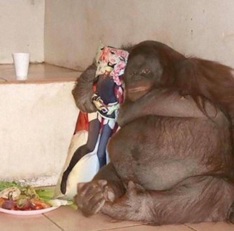 Огромная жирная обезьяна