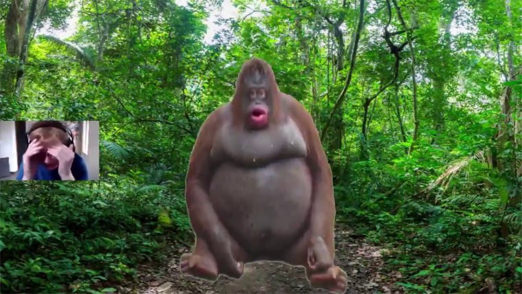 Орангутан Стинки