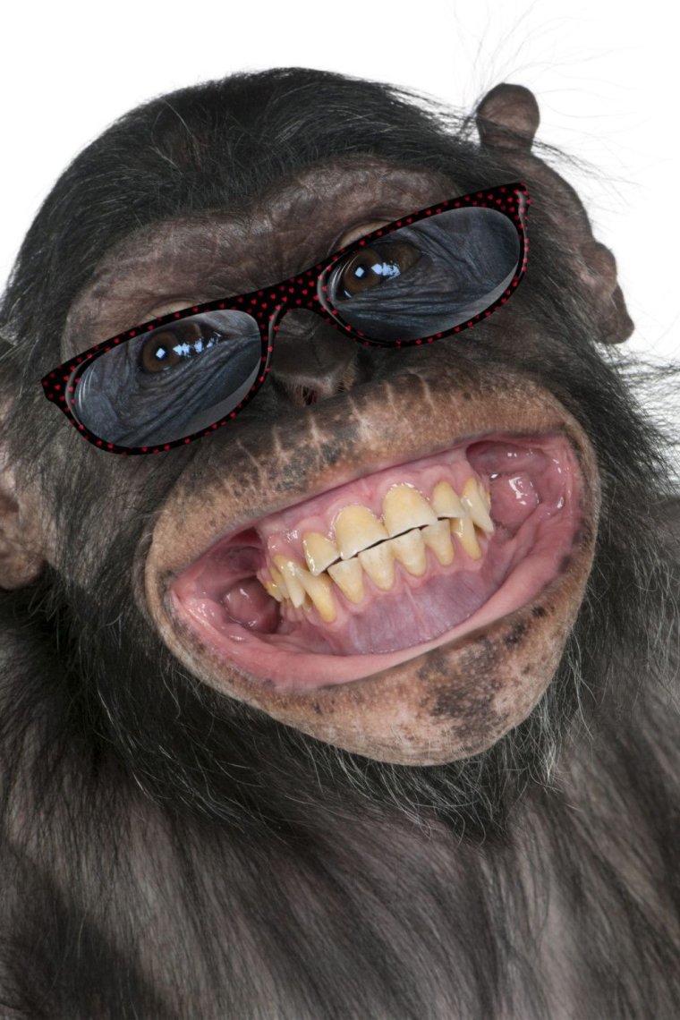 Обезьяна без зубов