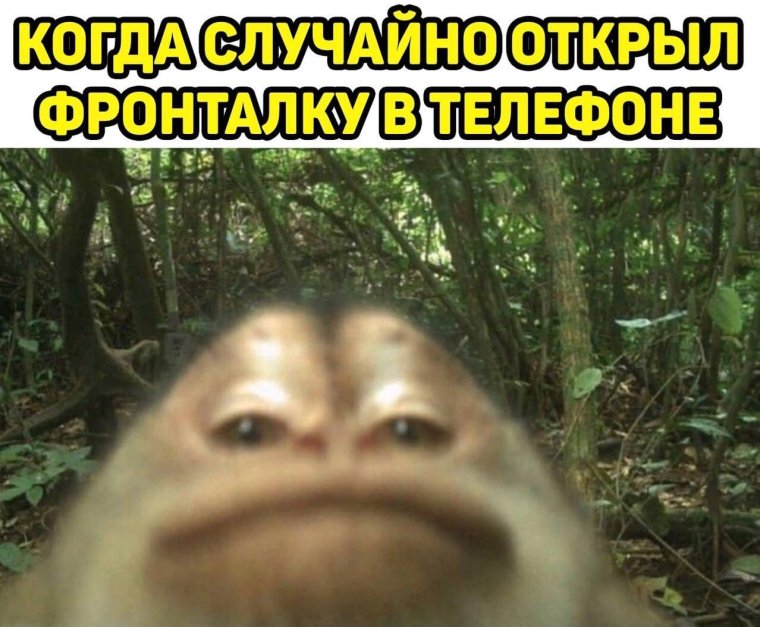 Обезьяна пугает