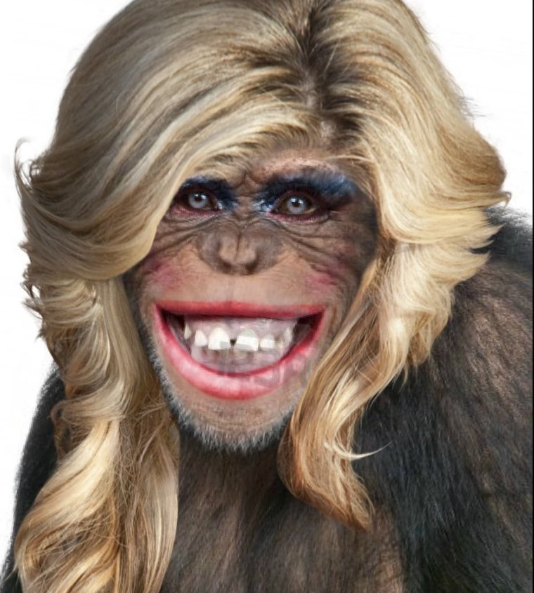 Беззубая обезьяна