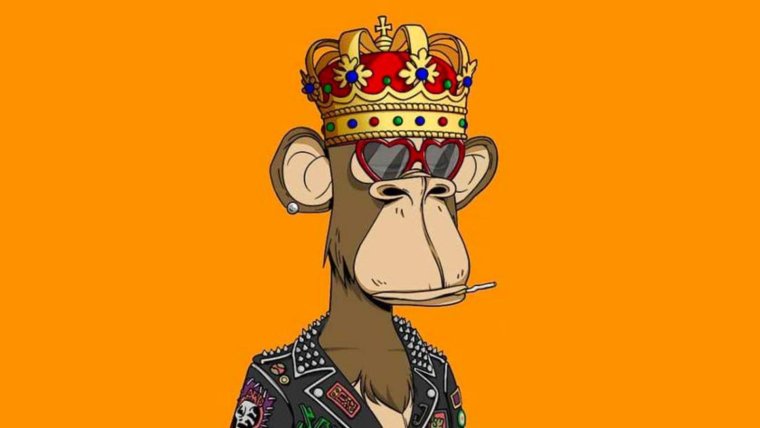 Коллекция bored Ape Yacht Club