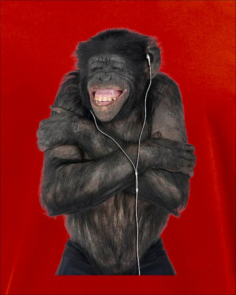 Горилла в красной футболке