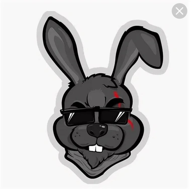 Злой кролик чб